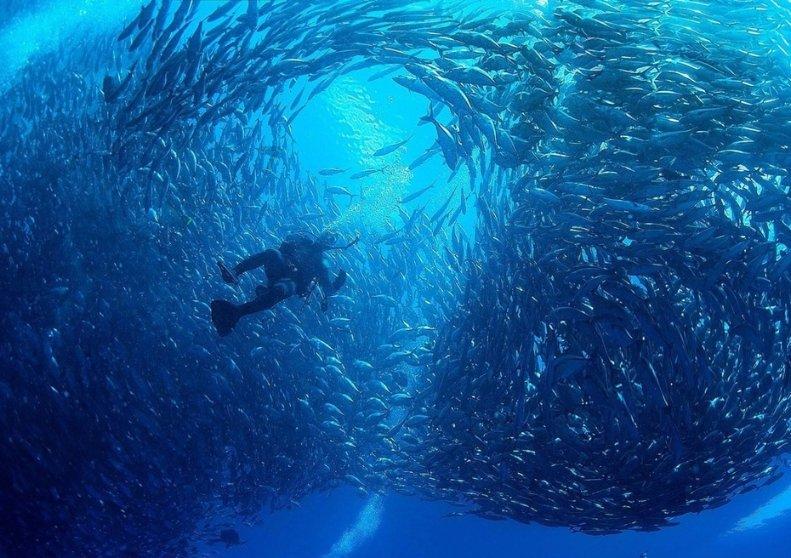你住过最满意的青年旅舍是哪个？为什么？游戏画面
