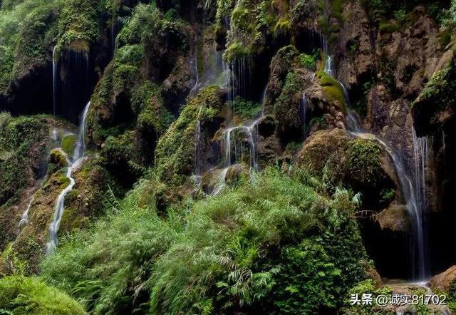 央视调侃“贾玲减肥100斤”：最后瘦的不是你吧