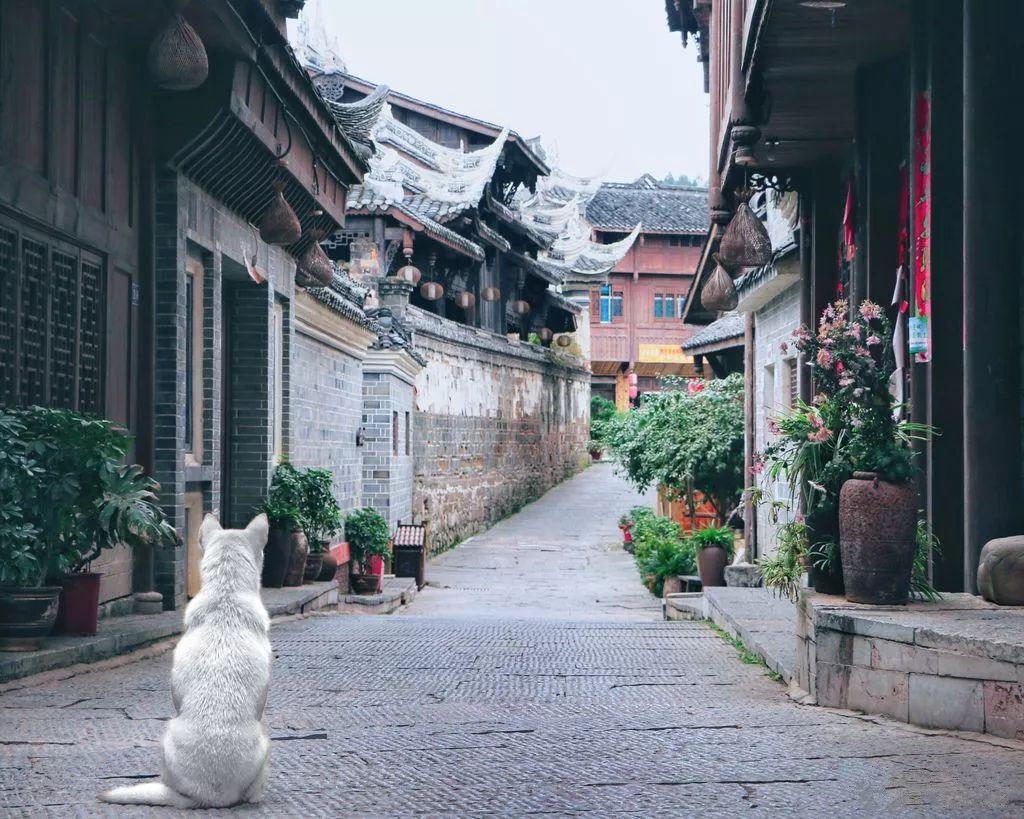 万词王